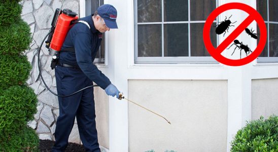 Dursunbey Gümüşkurt İlaçlama böcek ilaçlama ve haşere kontrolü — ilaclama-tr.com
